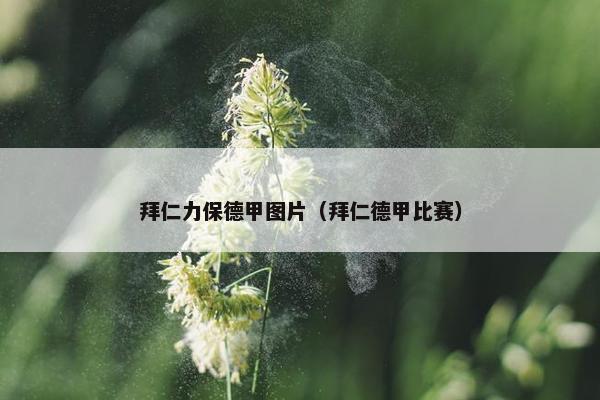 拜仁力保德甲图片（拜仁德甲比赛）