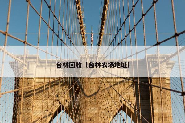 台林回放（台林农场地址）