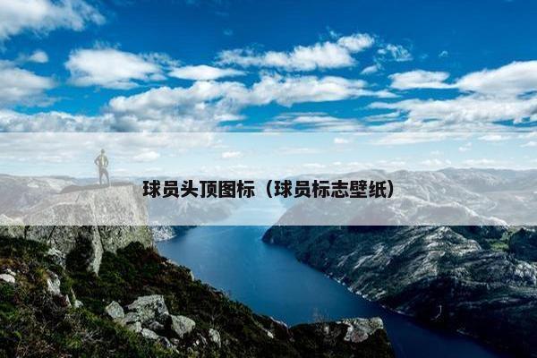 球员头顶图标（球员标志壁纸）