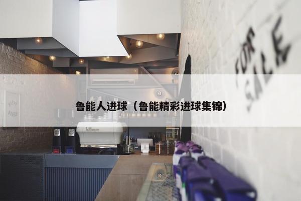 鲁能人进球（鲁能精彩进球集锦）