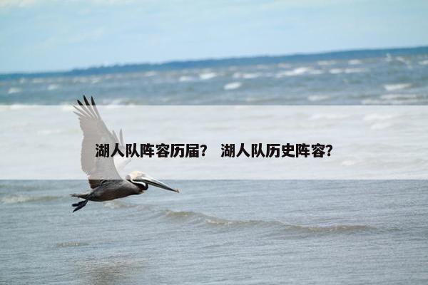 湖人队阵容历届？ 湖人队历史阵容？