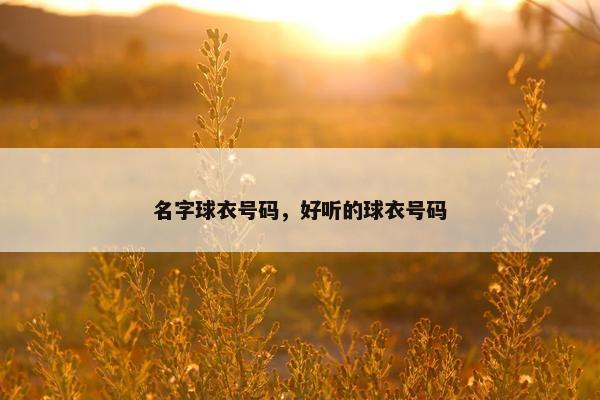 名字球衣号码，好听的球衣号码