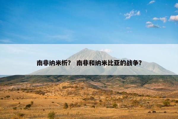 南非纳米析？ 南非和纳米比亚的战争？