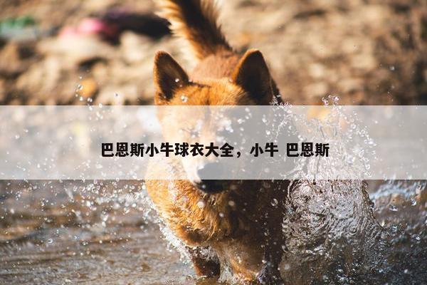 巴恩斯小牛球衣大全，小牛 巴恩斯