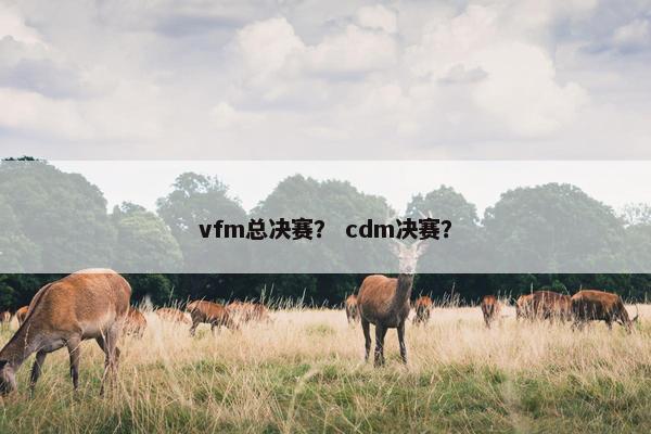 vfm总决赛？ cdm决赛？