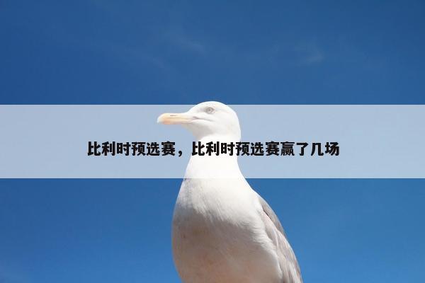 比利时预选赛，比利时预选赛赢了几场