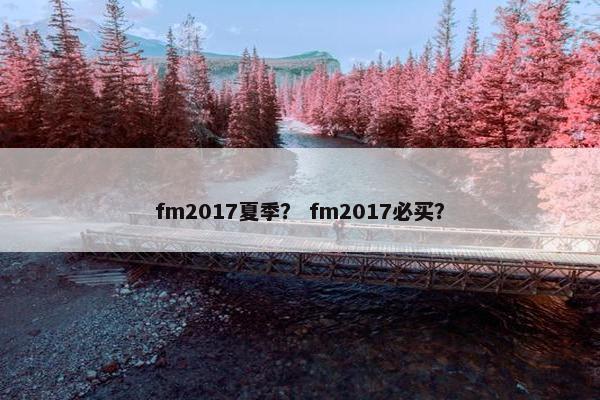 fm2017夏季？ fm2017必买？