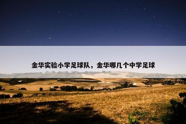 金华实验小学足球队，金华哪几个中学足球