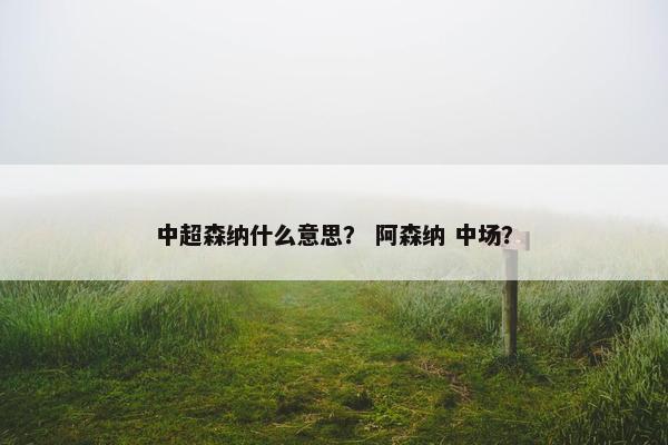 中超森纳什么意思？ 阿森纳 中场？