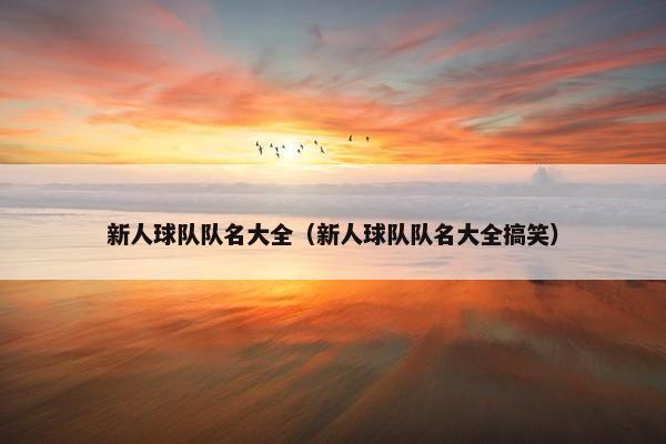 新人球队队名大全（新人球队队名大全搞笑）