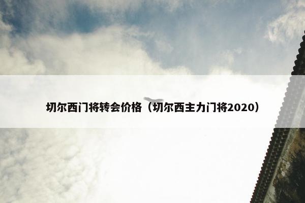 切尔西门将转会价格（切尔西主力门将2020）