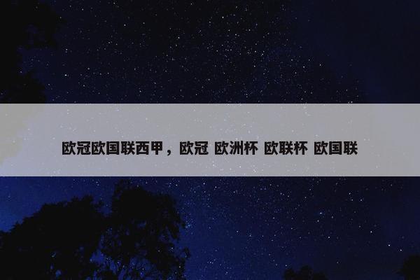 欧冠欧国联西甲，欧冠 欧洲杯 欧联杯 欧国联