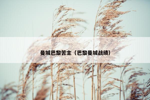 曼城巴黎苦主（巴黎曼城战绩）