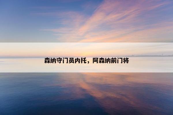 森纳守门员内托，阿森纳前门将
