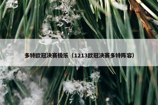 多特欧冠决赛极乐（1213欧冠决赛多特阵容）