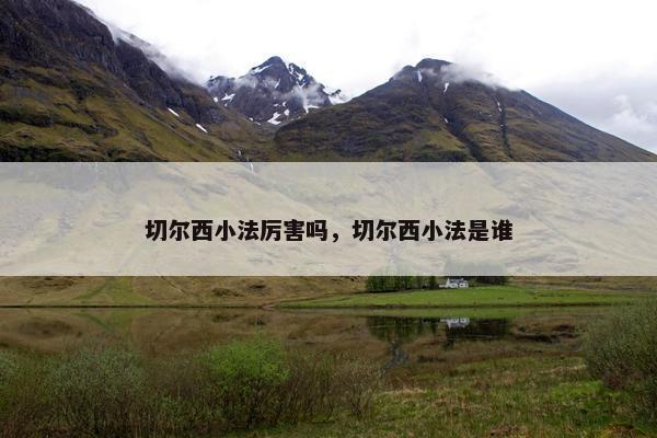 切尔西小法厉害吗，切尔西小法是谁
