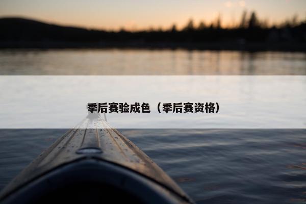 季后赛验成色（季后赛资格）