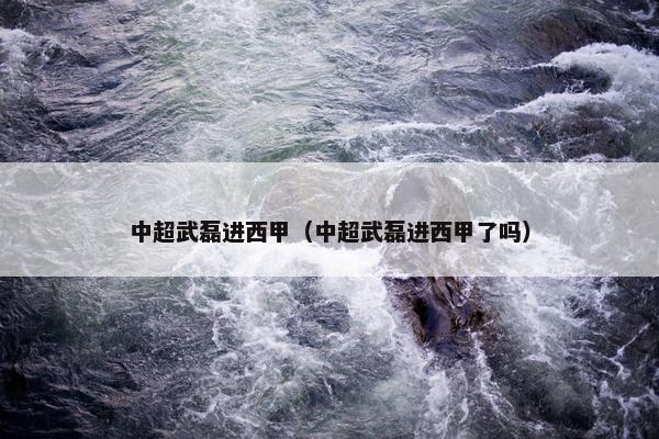 中超武磊进西甲（中超武磊进西甲了吗）