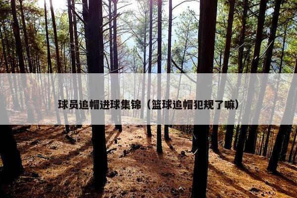 球员追帽进球集锦（篮球追帽犯规了嘛）