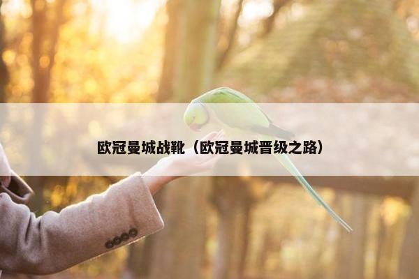 欧冠曼城战靴（欧冠曼城晋级之路）