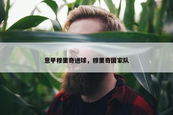 意甲穆里奇进球，穆里奇国家队