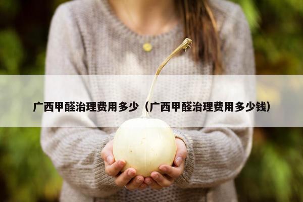 广西甲醛治理费用多少（广西甲醛治理费用多少钱）