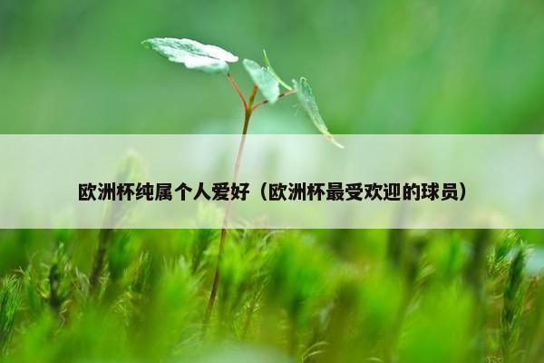 欧洲杯纯属个人爱好（欧洲杯最受欢迎的球员）