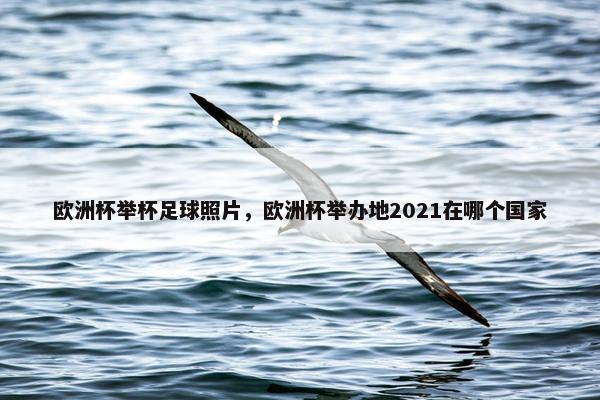 欧洲杯举杯足球照片，欧洲杯举办地2021在哪个国家