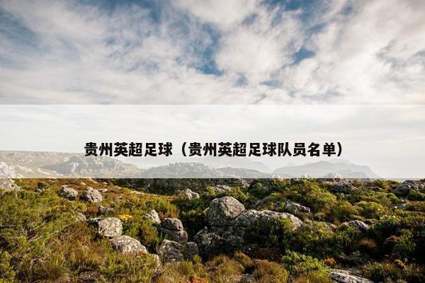 贵州英超足球（贵州英超足球队员名单）