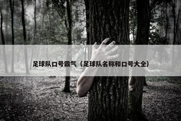 足球队口号霸气（足球队名称和口号大全）