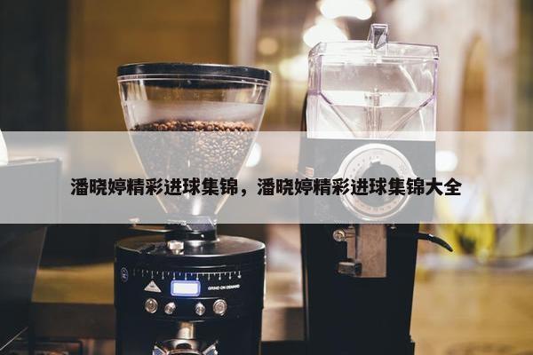 潘晓婷精彩进球集锦，潘晓婷精彩进球集锦大全