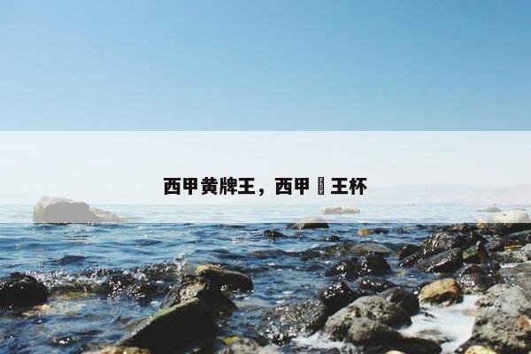 西甲黄牌王，西甲囯王杯