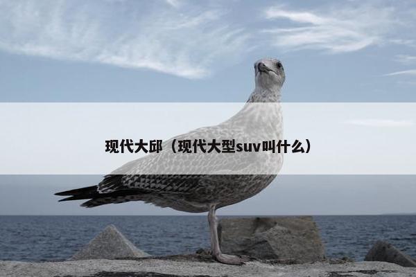现代大邱（现代大型suv叫什么）