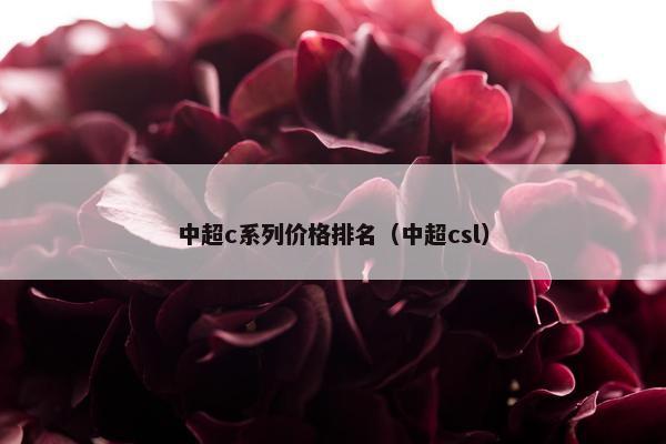 中超c系列价格排名（中超csl）