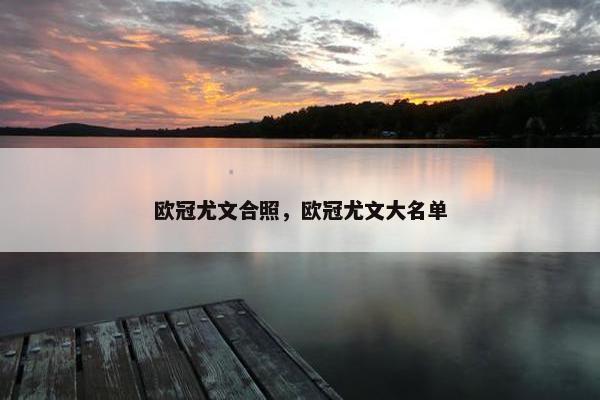 欧冠尤文合照，欧冠尤文大名单
