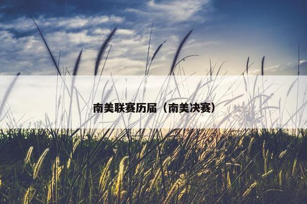 南美联赛历届（南美决赛）