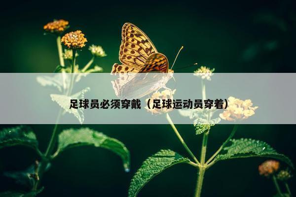 足球员必须穿戴（足球运动员穿着）