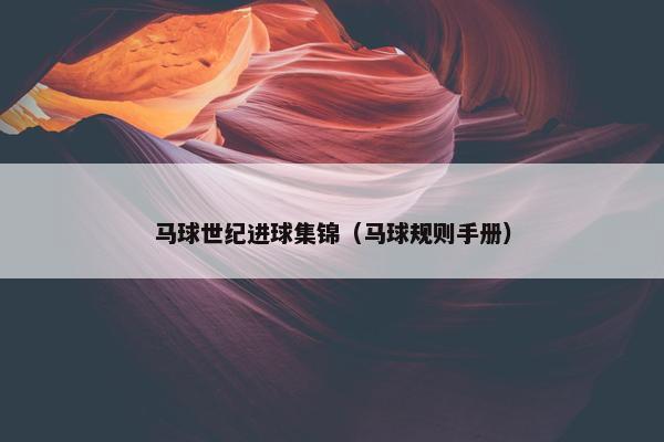 马球世纪进球集锦（马球规则手册）