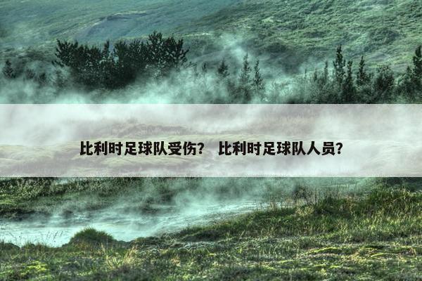 比利时足球队受伤？ 比利时足球队人员？