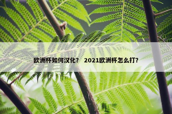 欧洲杯如何汉化？ 2021欧洲杯怎么打？