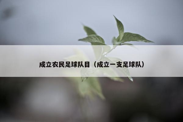 成立农民足球队目（成立一支足球队）