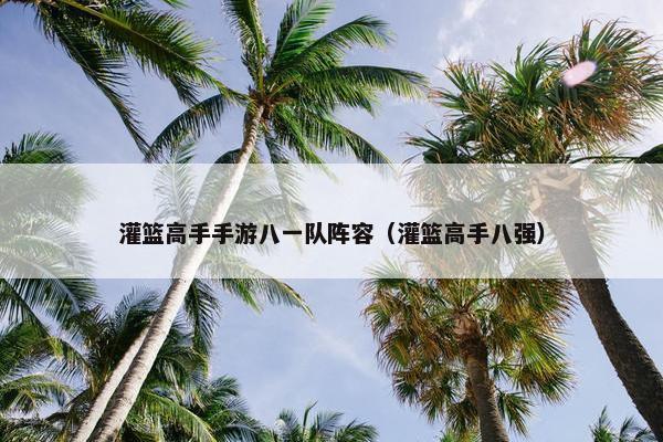 灌篮高手手游八一队阵容（灌篮高手八强）