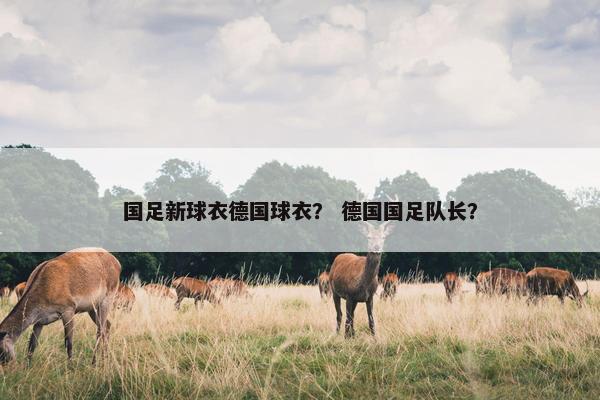 国足新球衣德国球衣？ 德国国足队长？