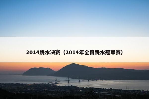 2014跳水决赛（2014年全国跳水冠军赛）