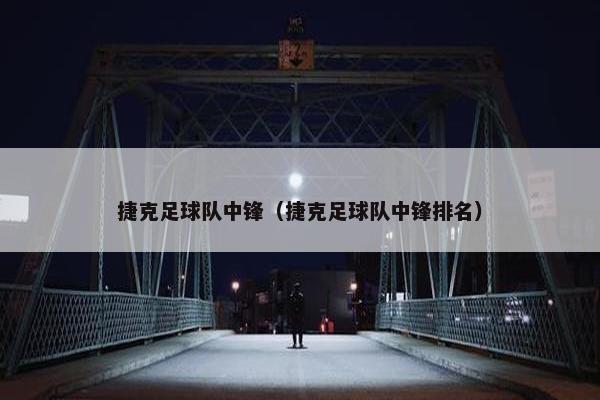 捷克足球队中锋（捷克足球队中锋排名）