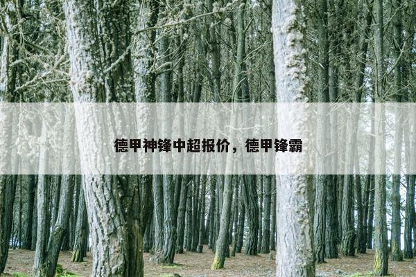 德甲神锋中超报价，德甲锋霸