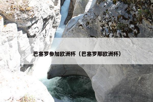巴塞罗参加欧洲杯（巴塞罗那欧洲杯）