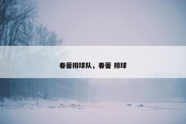 春蕾排球队，春蕾 排球