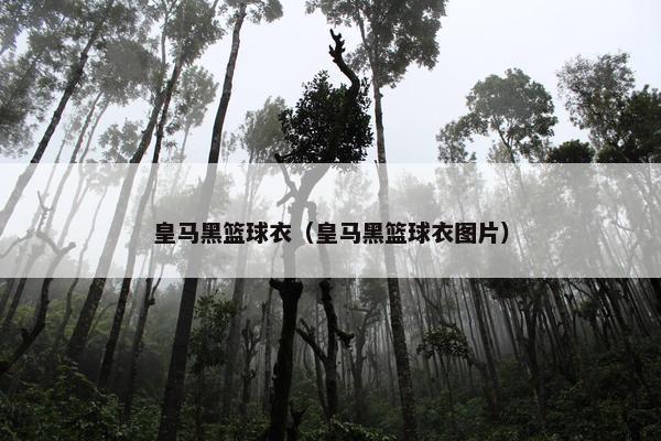 皇马黑篮球衣（皇马黑篮球衣图片）
