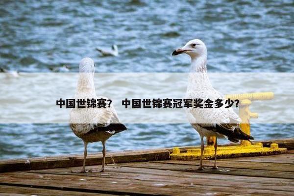 中国世锦赛？ 中国世锦赛冠军奖金多少？
